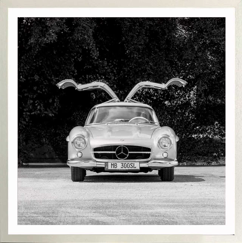 Постер Wings open 