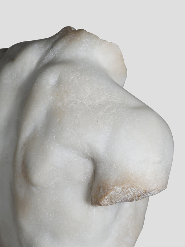 Скульптура Torso