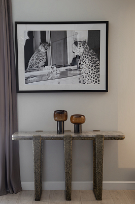 Постер Cheetah