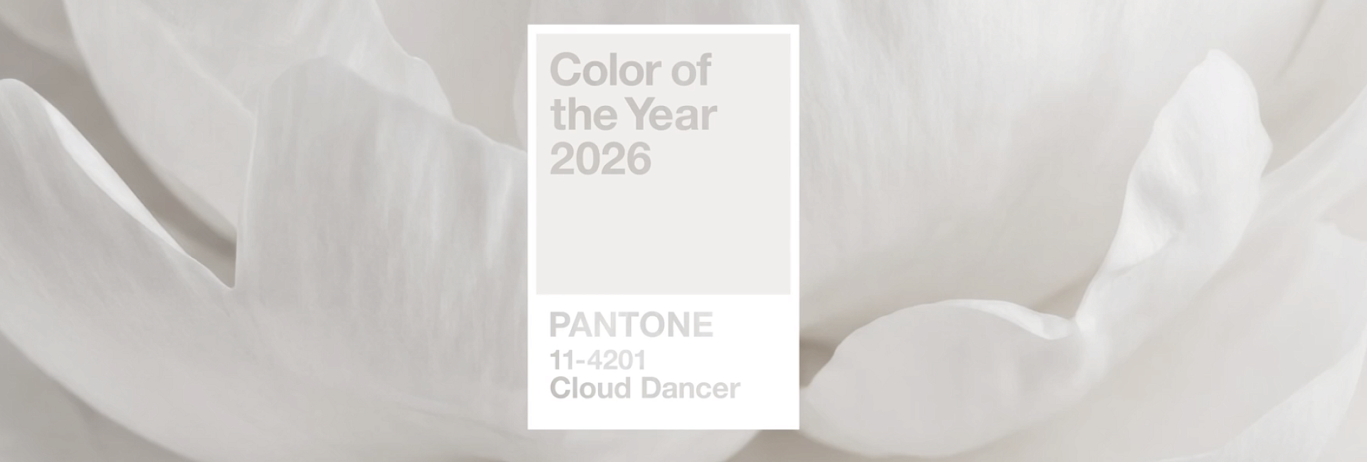 Цвет года 2026 Cloud Dancer