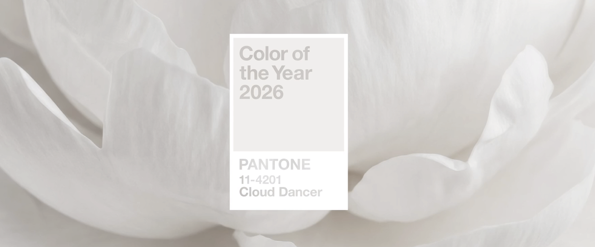 Цвет года 2026 Cloud Dancer