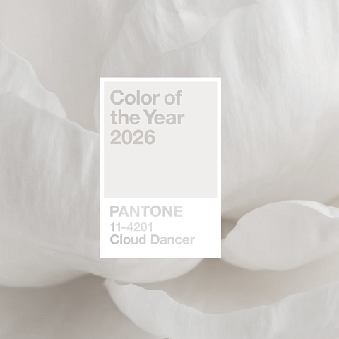 Цвет года 2026 Cloud Dancer