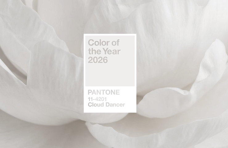 Цвет года 2026 Cloud Dancer