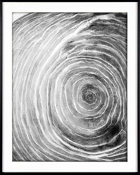 Картина Spiral 